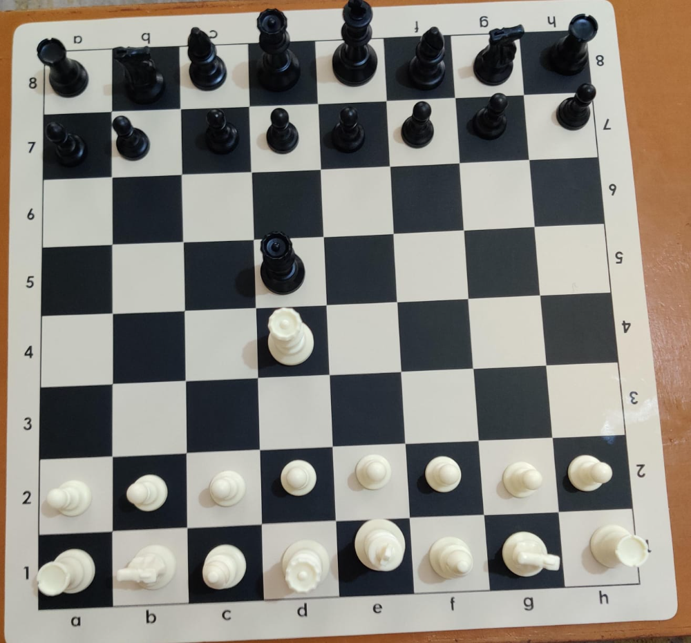 Canvas Chess Sets